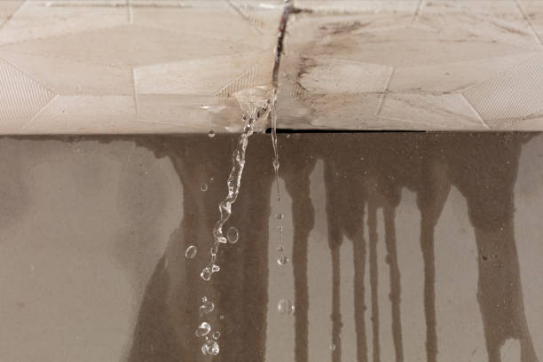 Professional Flood Damage Cleanup technician working in Newark, DE